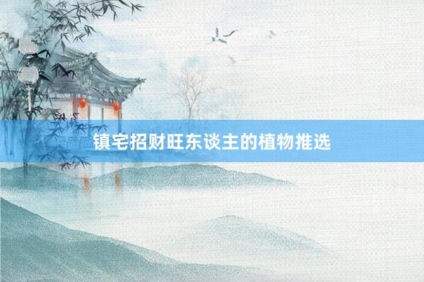 镇宅招财旺东谈主的植物推选